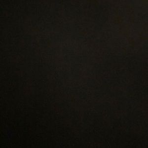 Meet your Posher, Wyatt